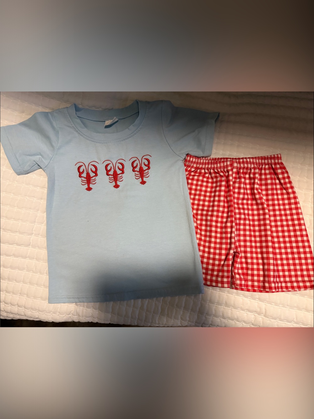 Boy’s Light Blue Tee with Red Crawfish Motif and Red Gingham Shorts